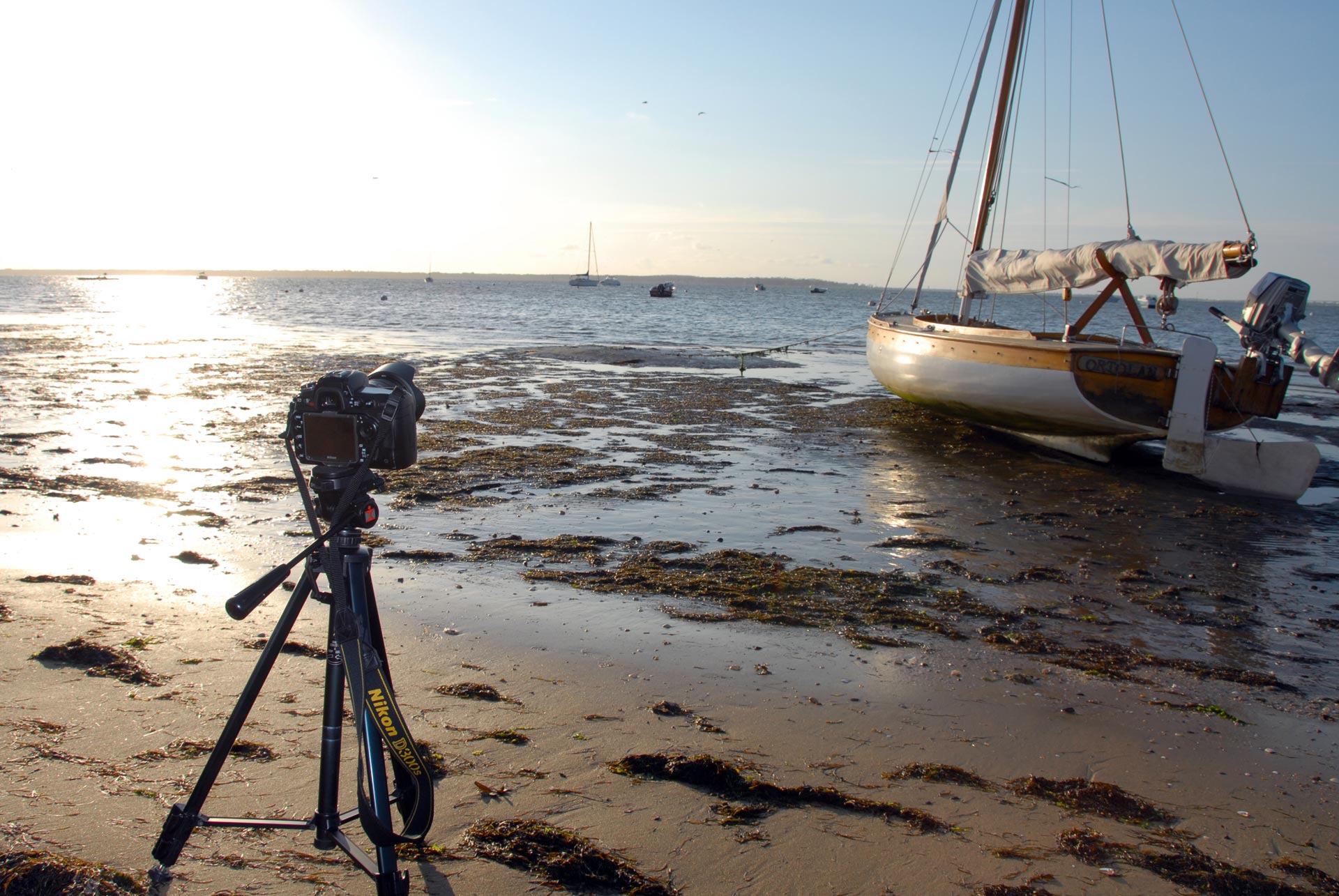 Nos conseils pour réaliser un time-lapse de grossesse 